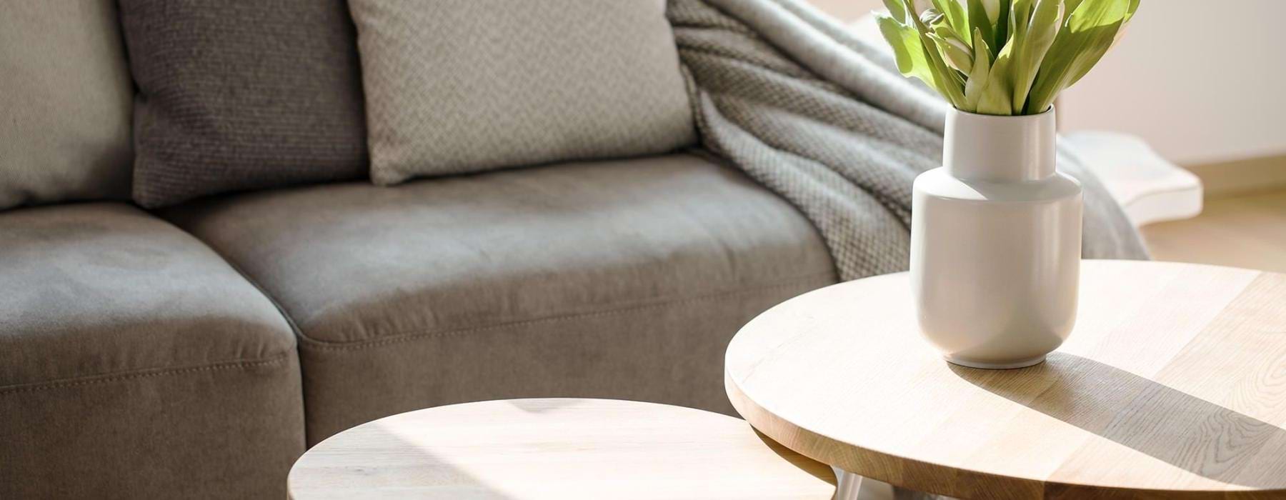 sunlight pours through a large window in furnished living room